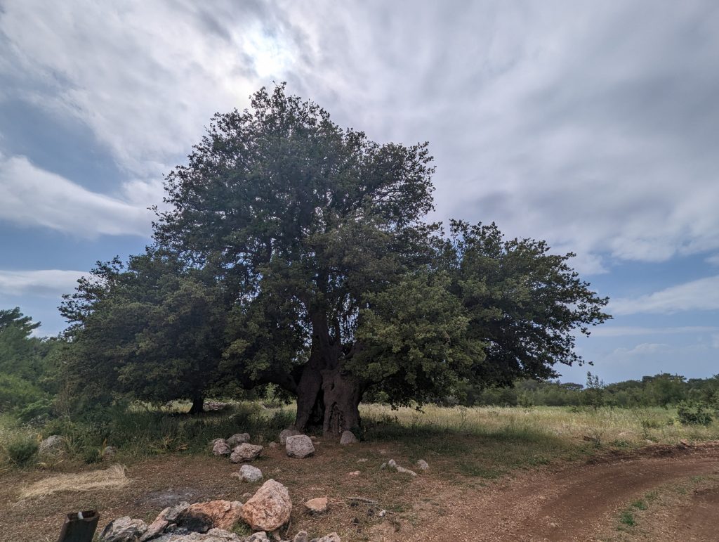 Wandelen langs de Lycische Kust in Turkije - Lycian Way - Zinvol Reizen