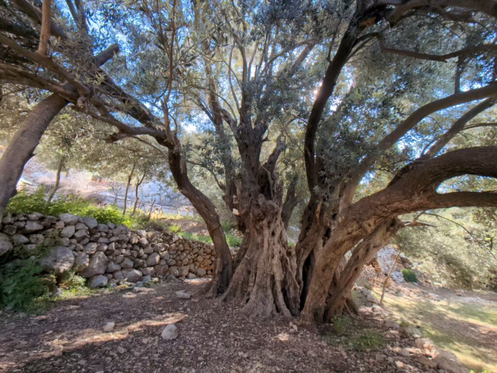 Hiking along the Lycian Coast - Stage 2 + 3 - Lycian Way - Turkey