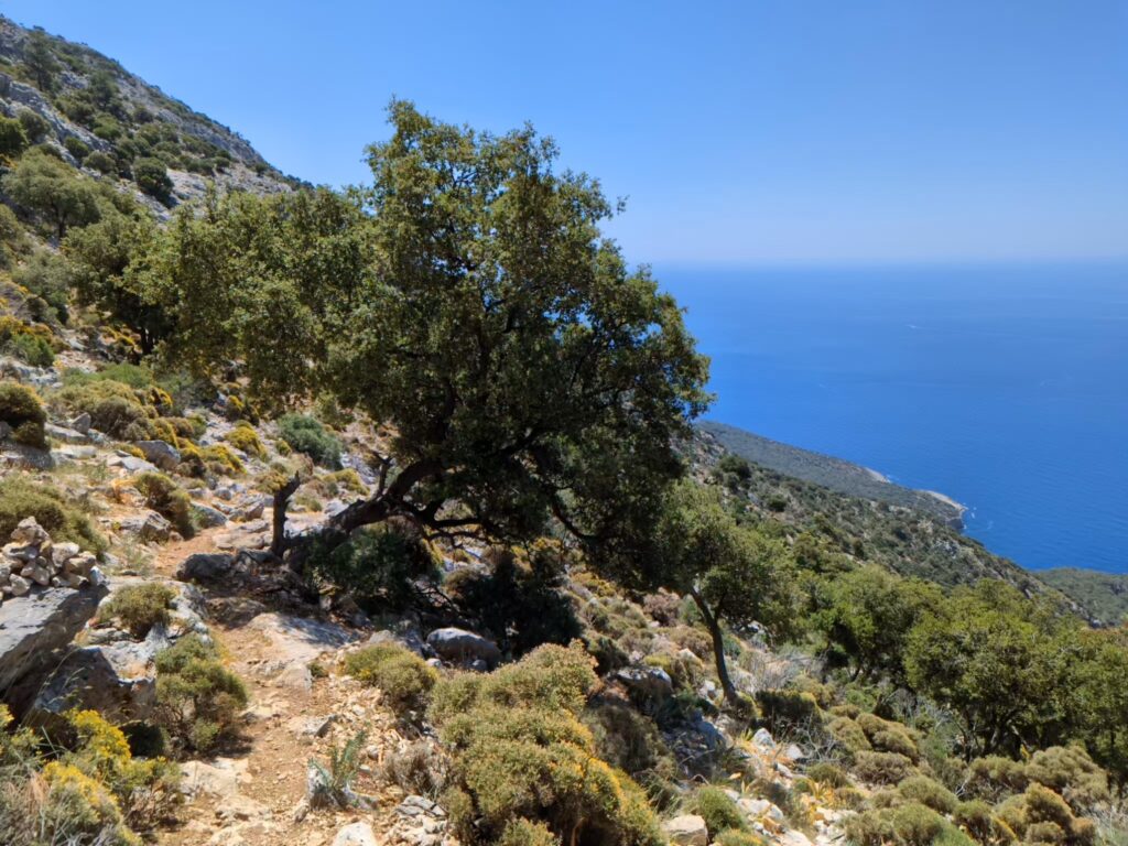 Hiking along the Lycian Coast - Stage 2 + 3 - Lycian Way - Turkey