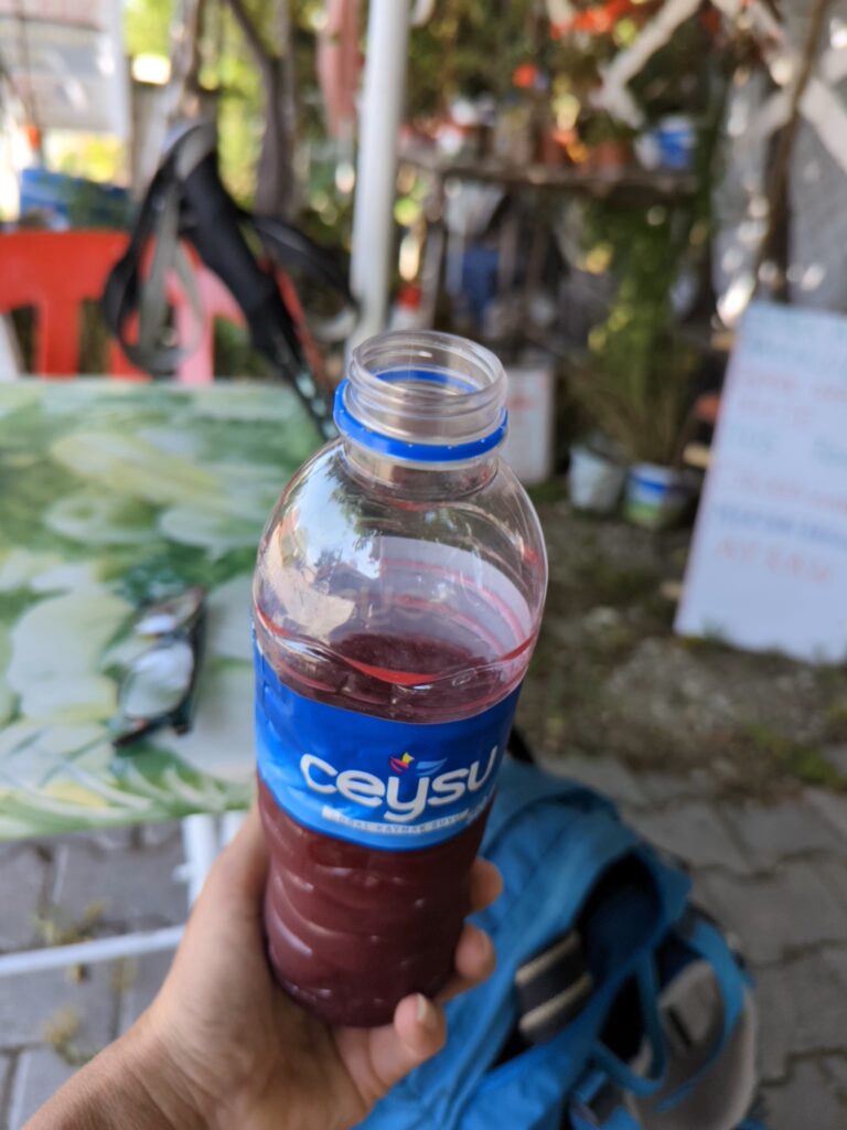 Fresh Pomegranate juice - The Lycian Way stage 2 and 3 - Safe and Healthy Travel