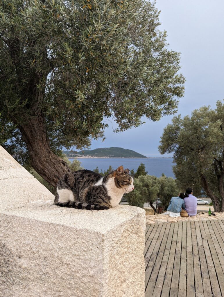 Visiting Antiphellos during your hike through Kaş - Turkey