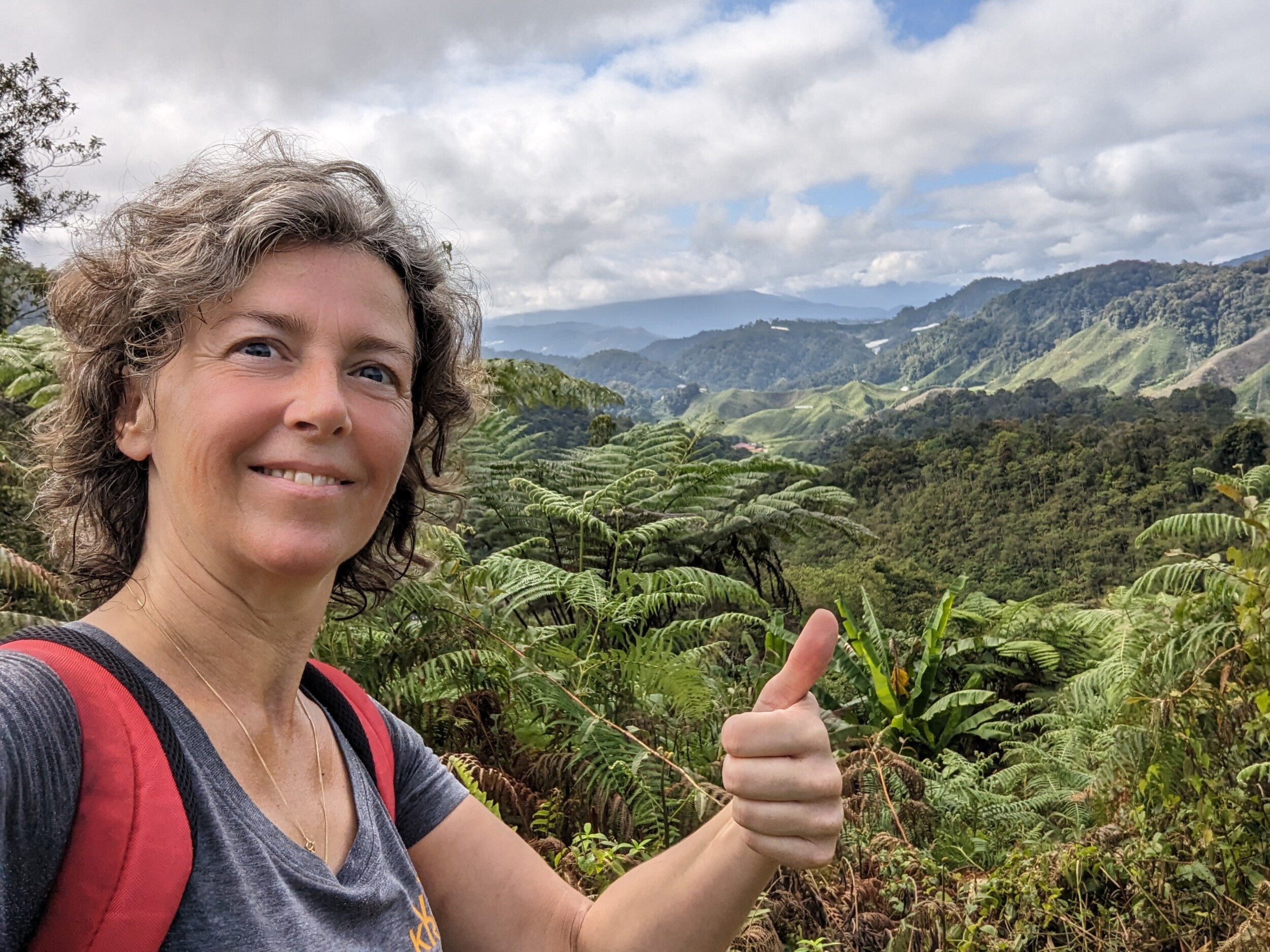 Wandelen bij Cameron Highlands - Maleisie