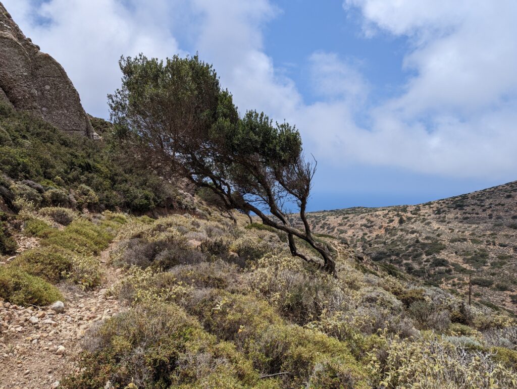 Hiking on Karpathos - The wind always comes from the seaside