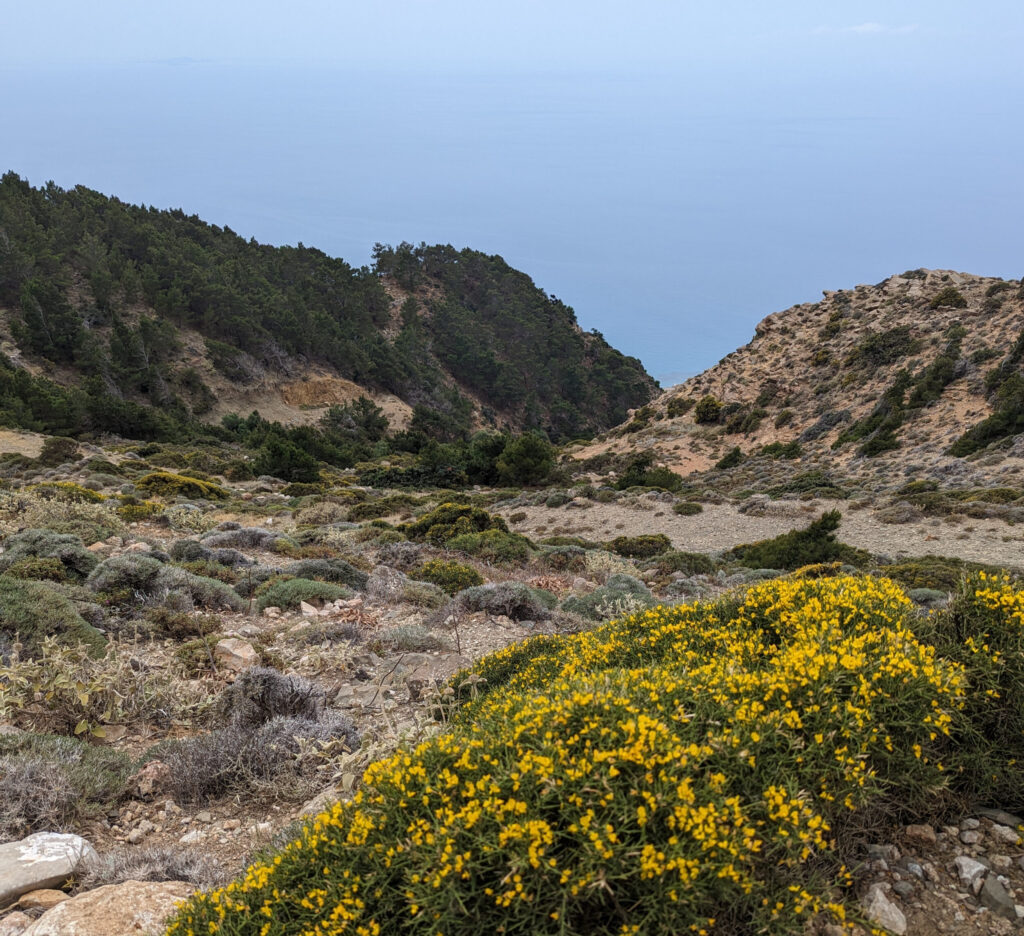 Hiking on Karpathos - Day 2 Pyles to Adia