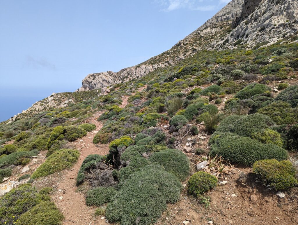 Avontuurlijk wandelen op Karpathos - Griekenland - Dag 3 Adia naar Stroumboulas