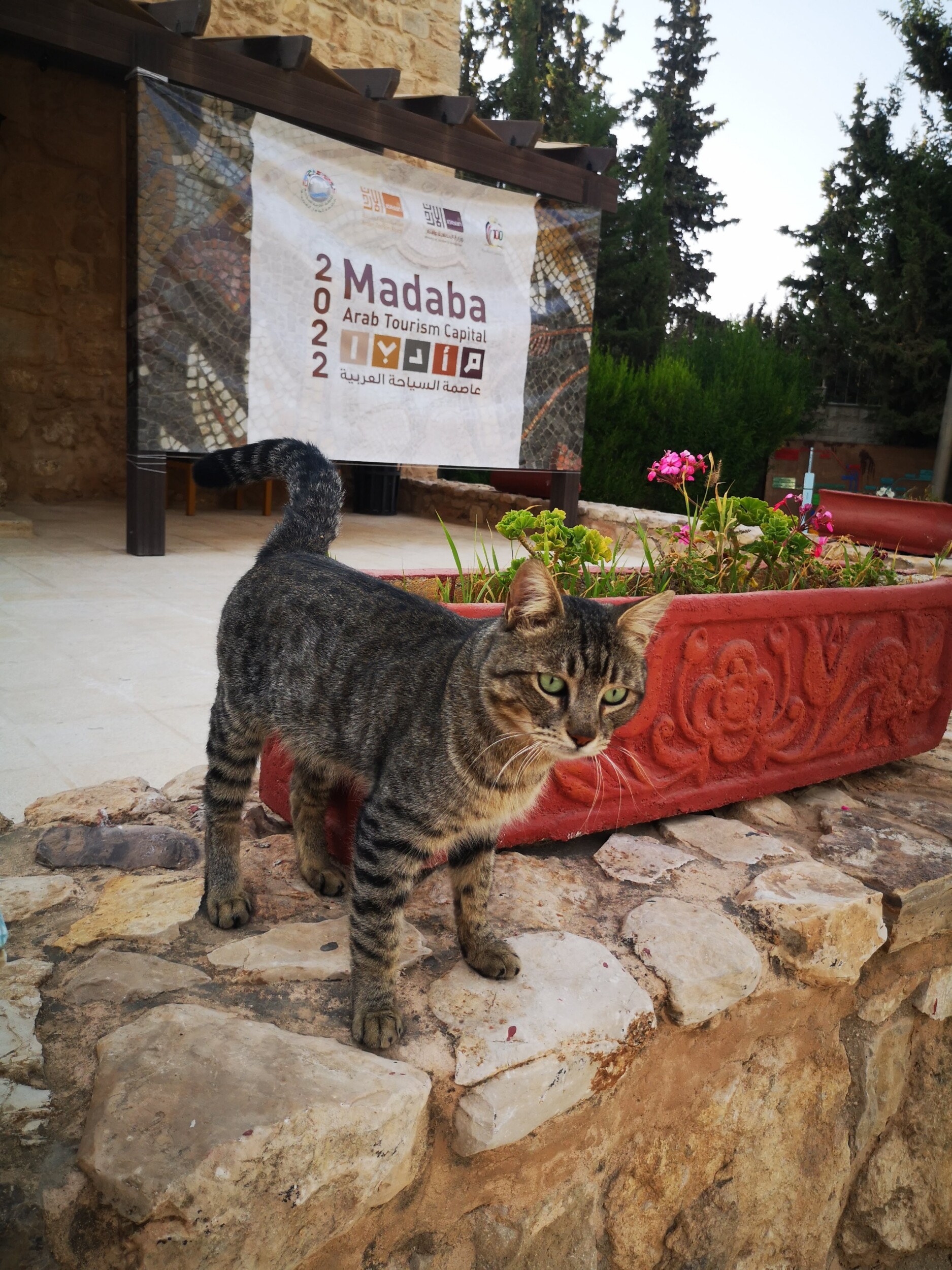 Wat te doen in Madaba - Jordanië
