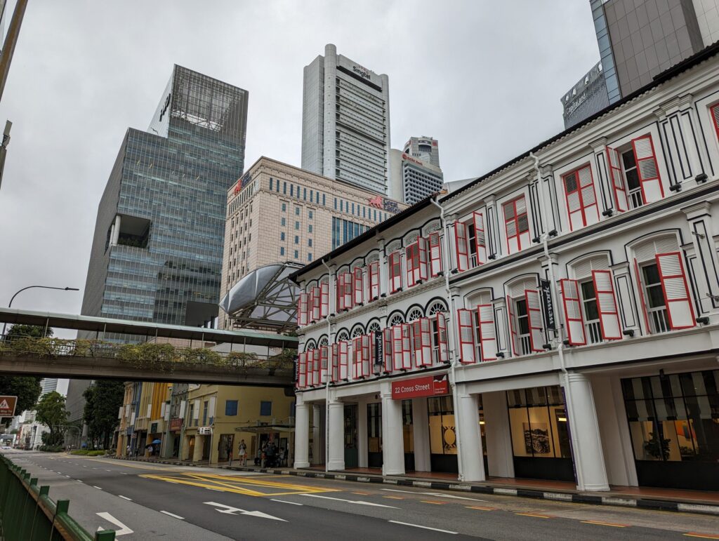 Het verrassende straatbeeld van Singapore - Zijstraat van Upper Cross Street