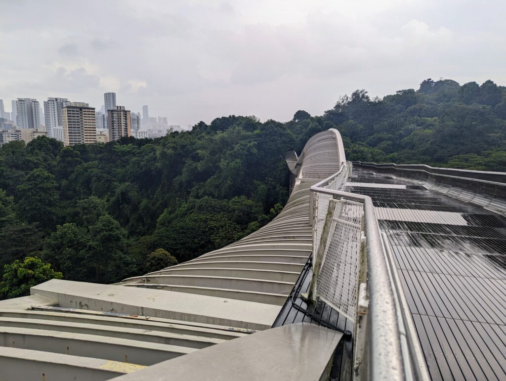 Henderson Waves op een regenachtige dag - Singapore