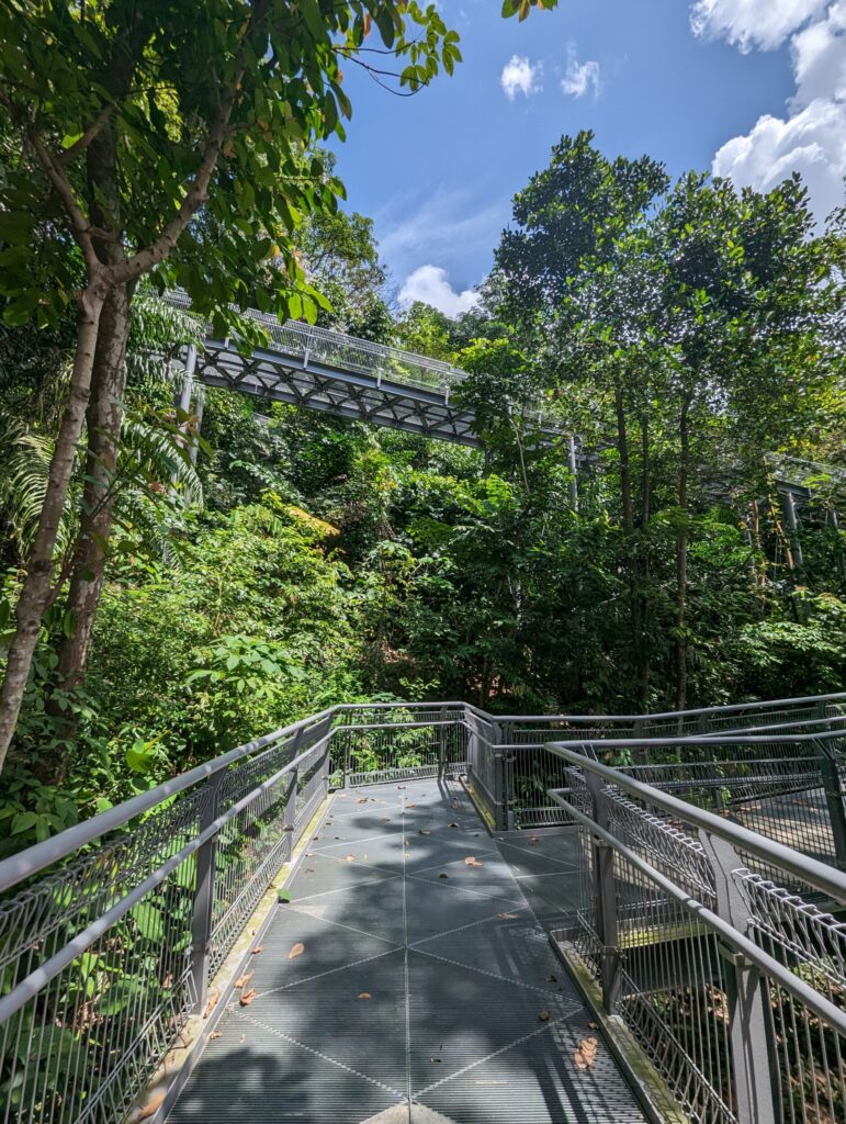 The Southern Rigdes - Telok Blangah Hill Park - Mount Faber Park - Reisgids Singapore