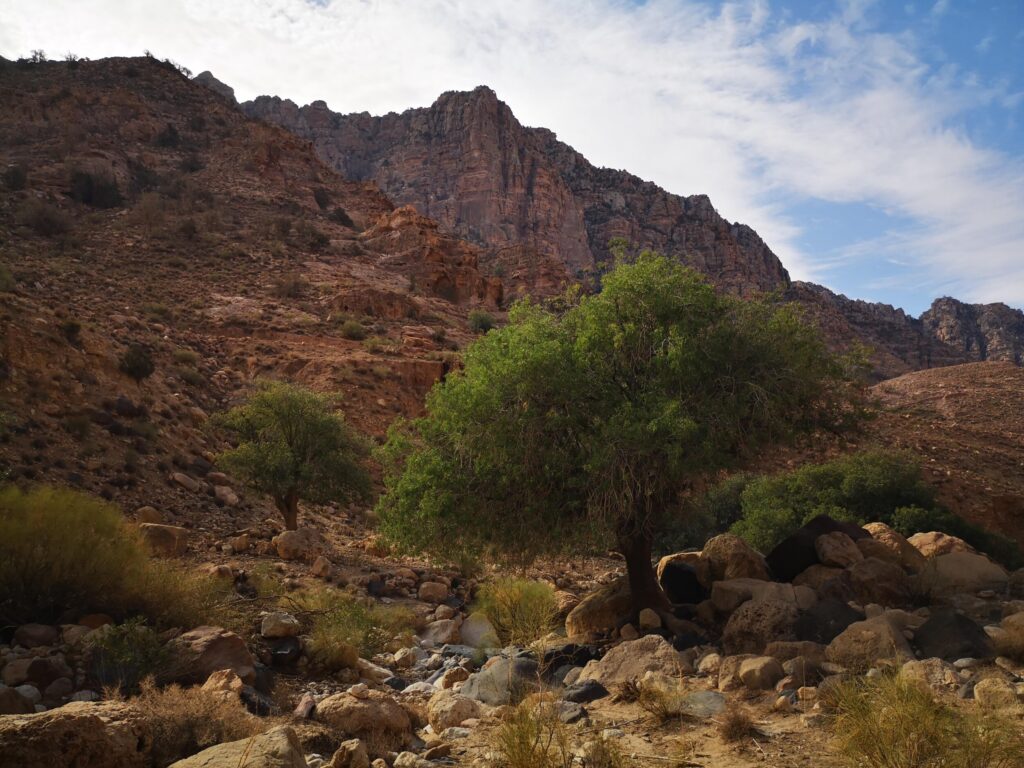 Wandelen in Dana Bioshpere Nature Reserve - Jordanië - Avontuurlijke reis door Jordanië