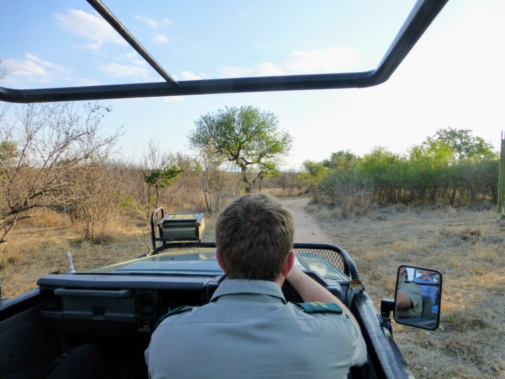 Krugerpark bezoeken Zuid Afrika