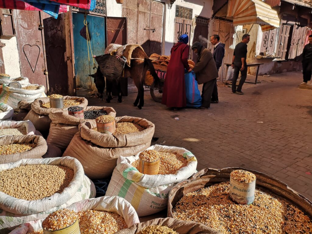 Veilig op Reis - In een klein straatje in de souks van Fez, Marokko
