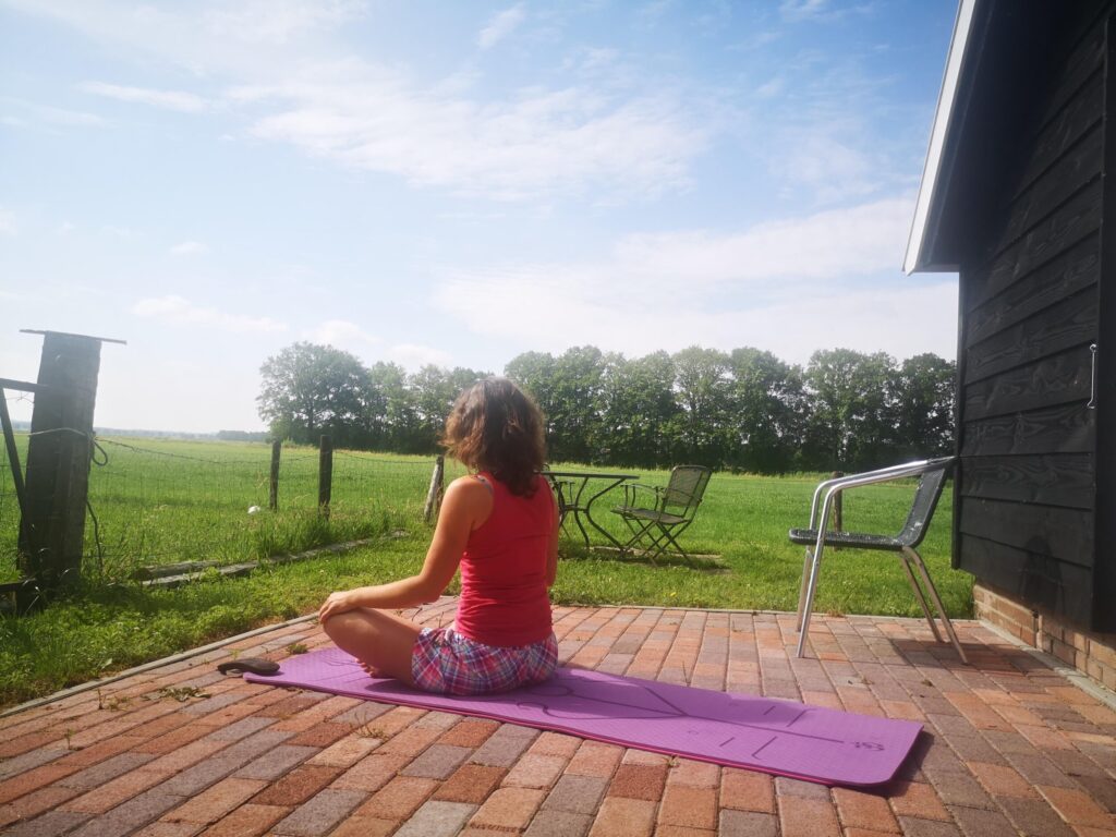 Het achtvoudige pad van Yoga - Het eerste pad is Yama - Zinvol Reizen