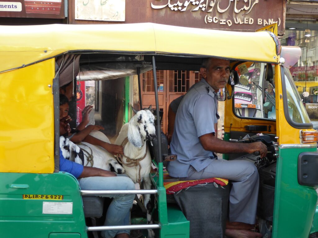 Safe Travel - In the busiest part of Old Delhi - India
