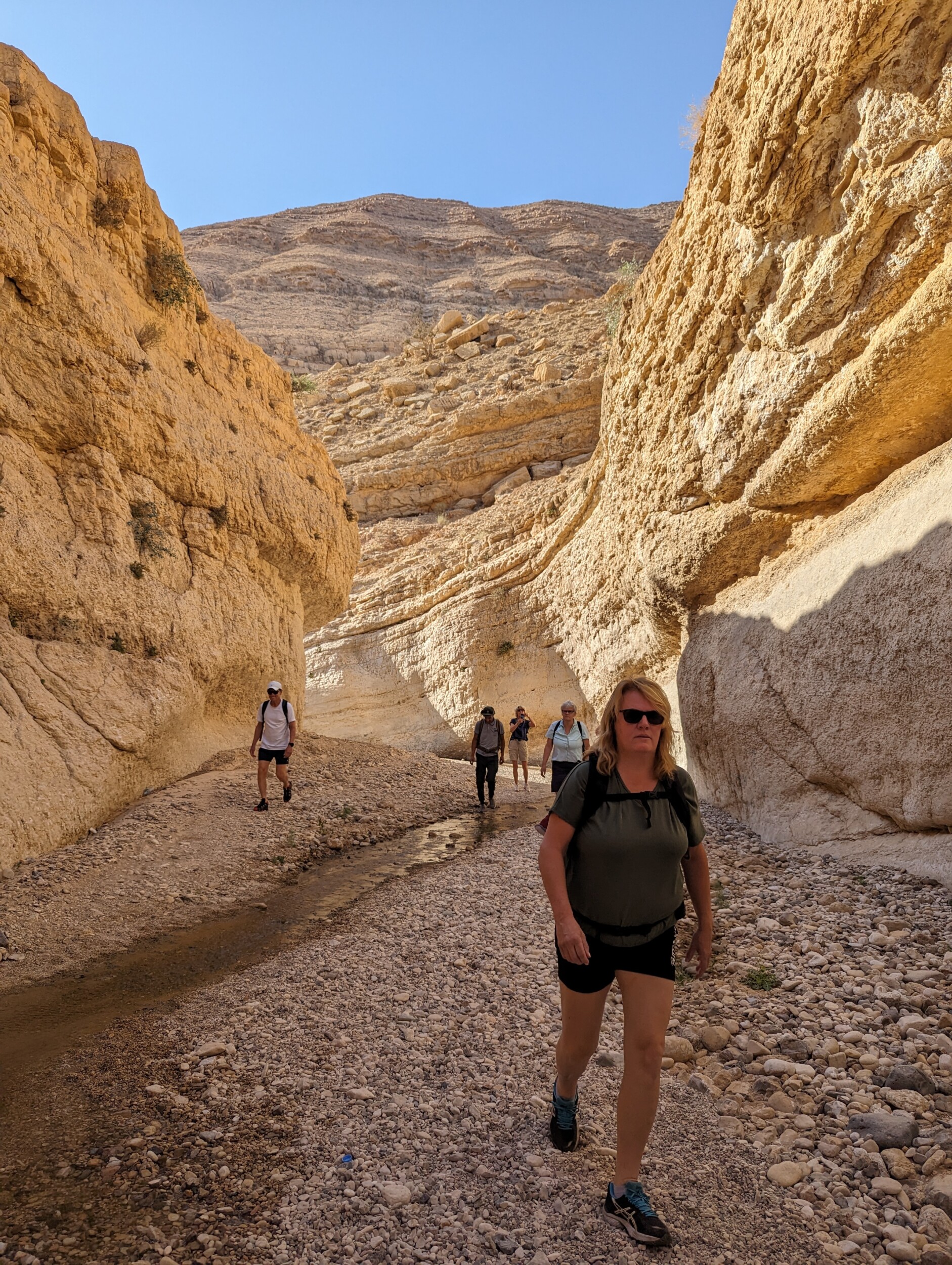 Wandelen in de Wadi Ghuweir, Jordanië - De wadi die als de mooiste wadi van Jordanië bekend staat