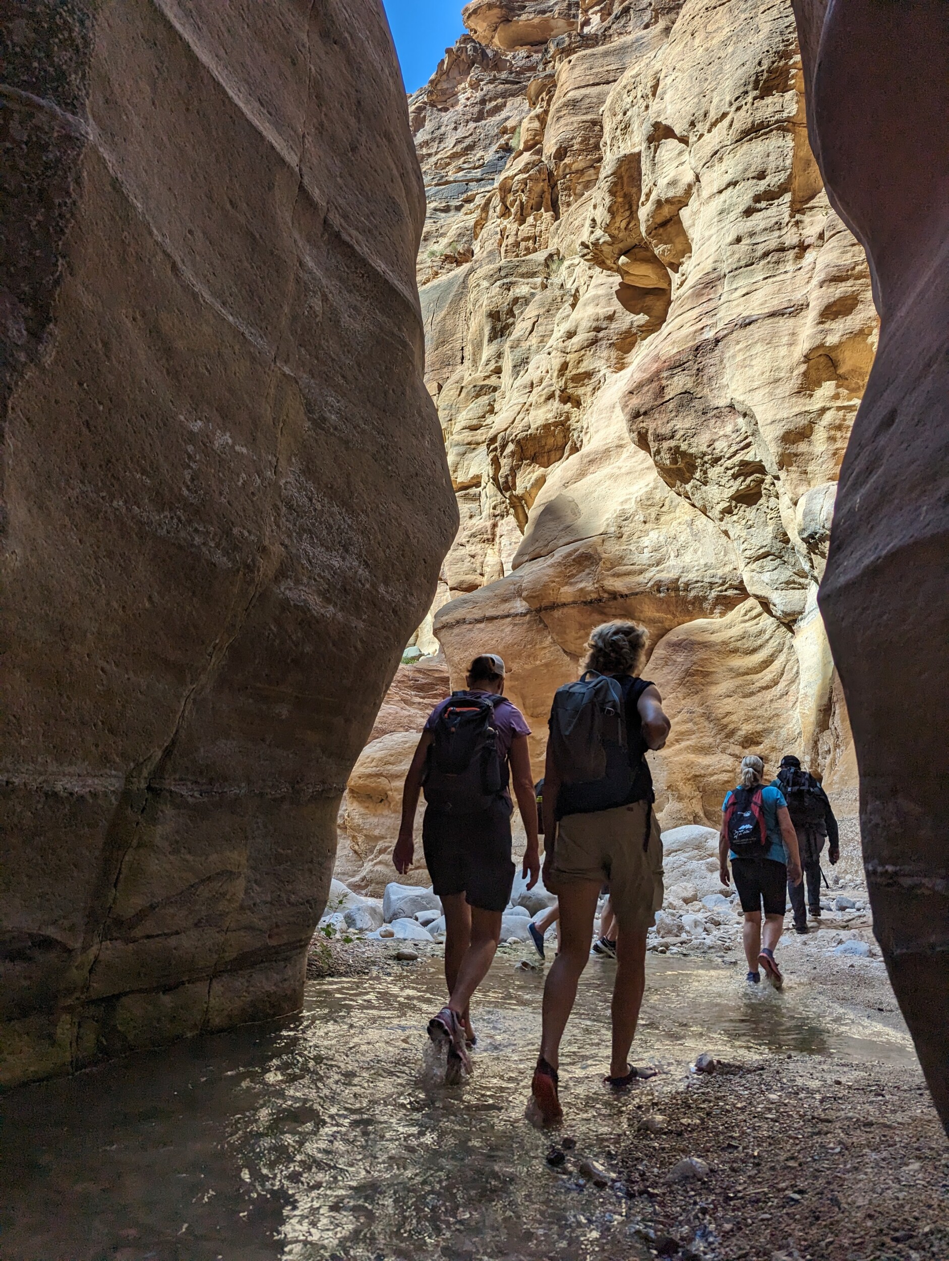 Wandelen in de Wadi Ghuweir, Jordanië - De wadi die als de mooiste wadi van Jordanië bekend staat