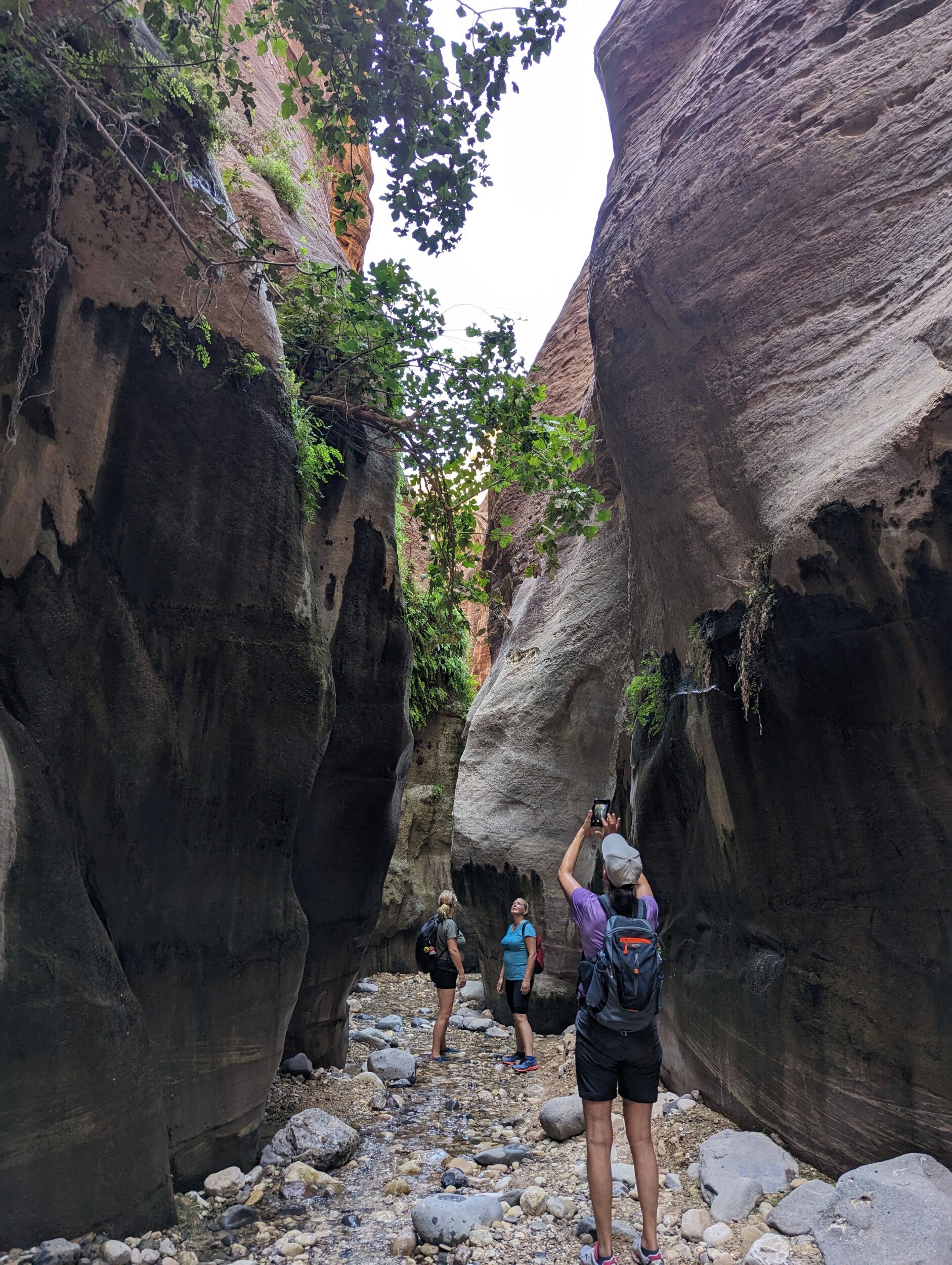 Wandelen in de Wadi Ghuweir, Jordanië - De wadi die als de mooiste wadi van Jordanië bekend staat