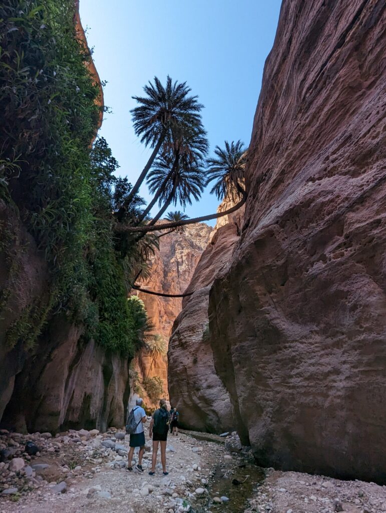 Wandelen in de Wadi Ghuweir, Jordanië - De wadi die als de mooiste wadi van Jordanië bekend staat