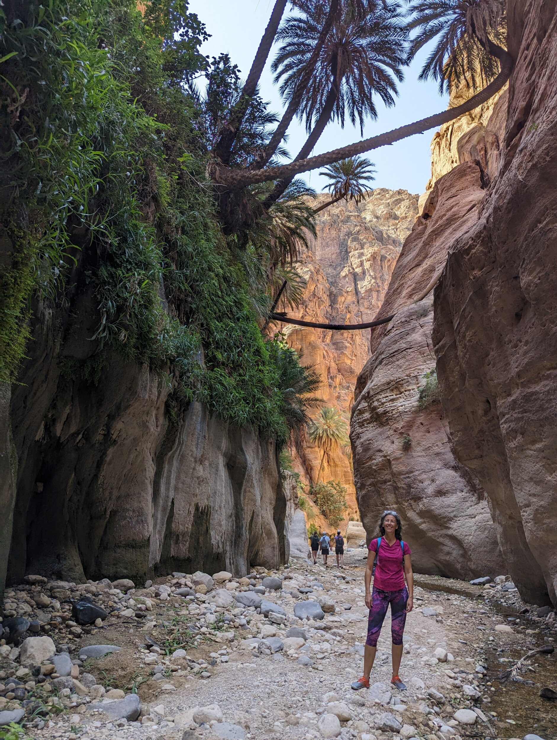 De palmbomen in de Wadi Ghuweir
