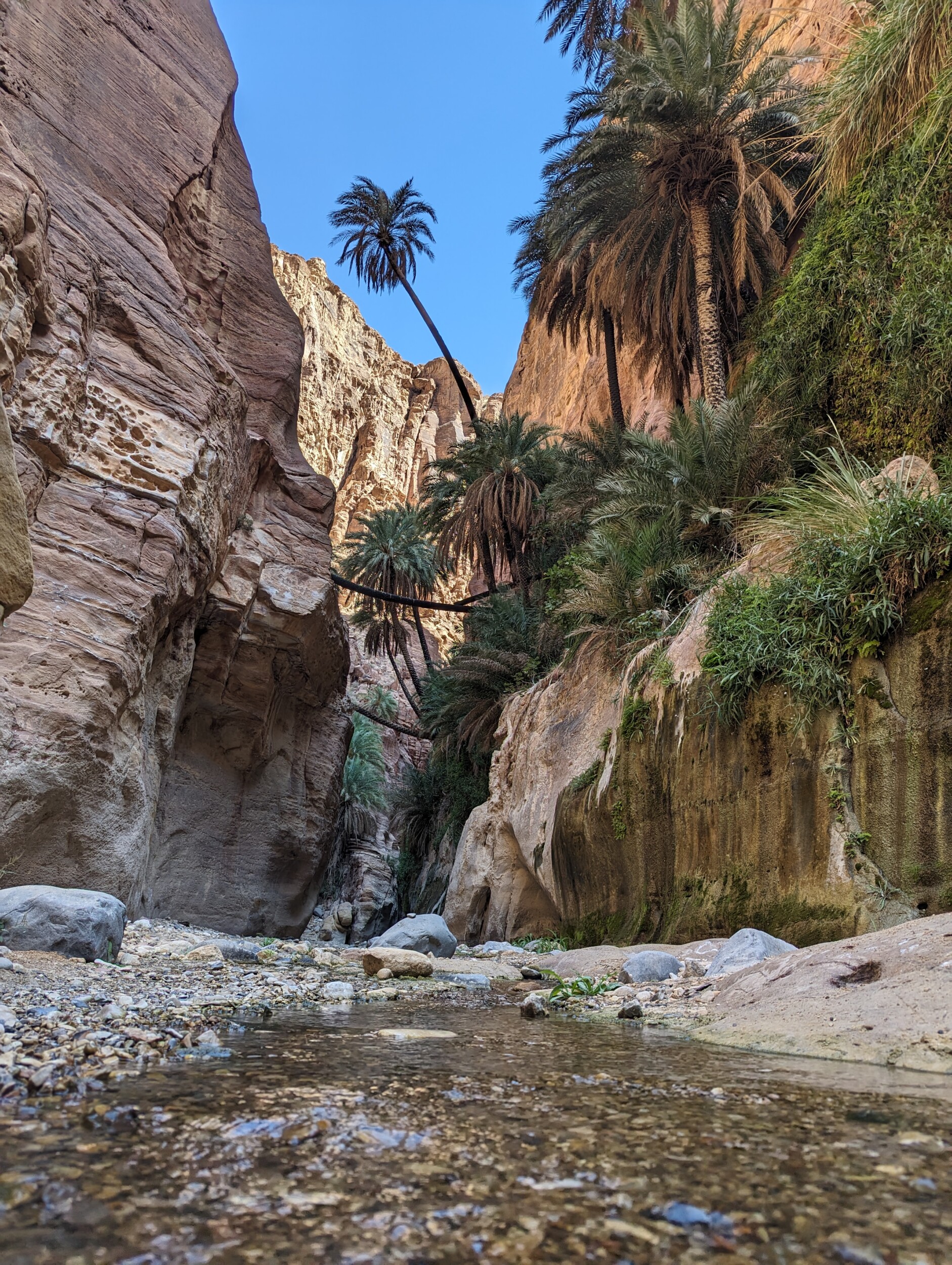 Wandelen in de Wadi Ghuweir, Jordanië - De wadi die als de mooiste wadi van Jordanië bekend staat
