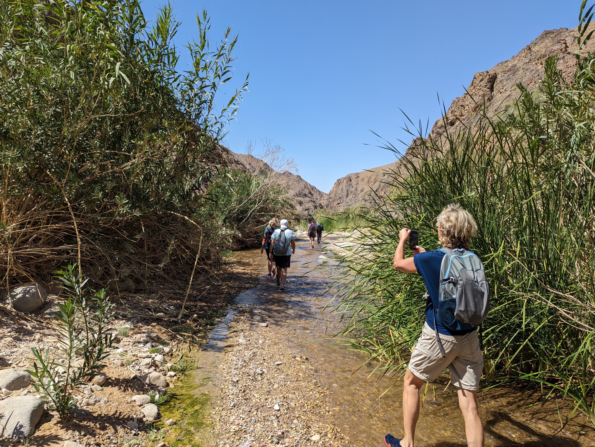 Wandelen in de Wadi Ghuweir, Jordanië - De wadi die als de mooiste wadi van Jordanië bekend staat