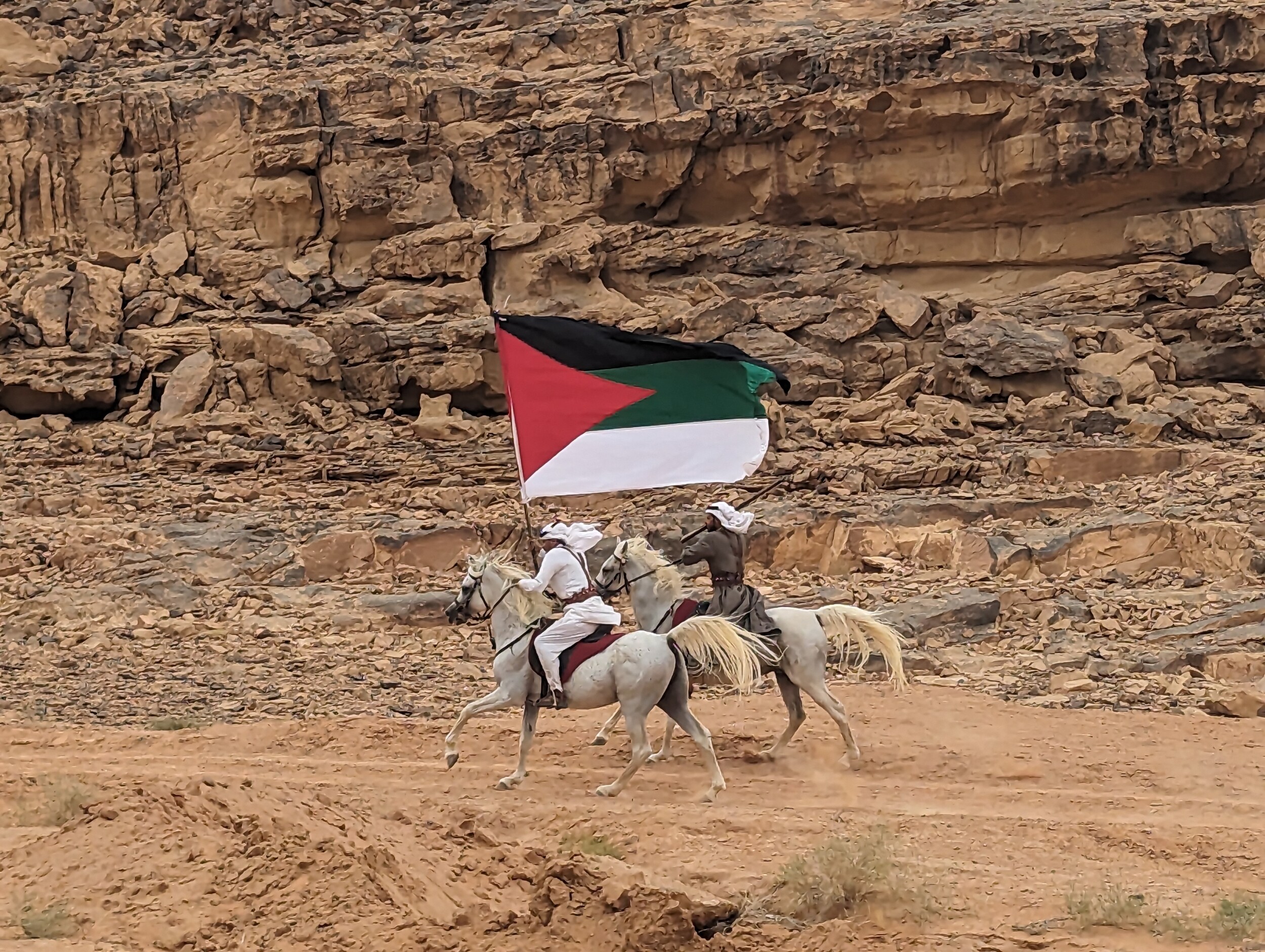 De treinreis van 1916 door de Wadi Rum - Jordanië