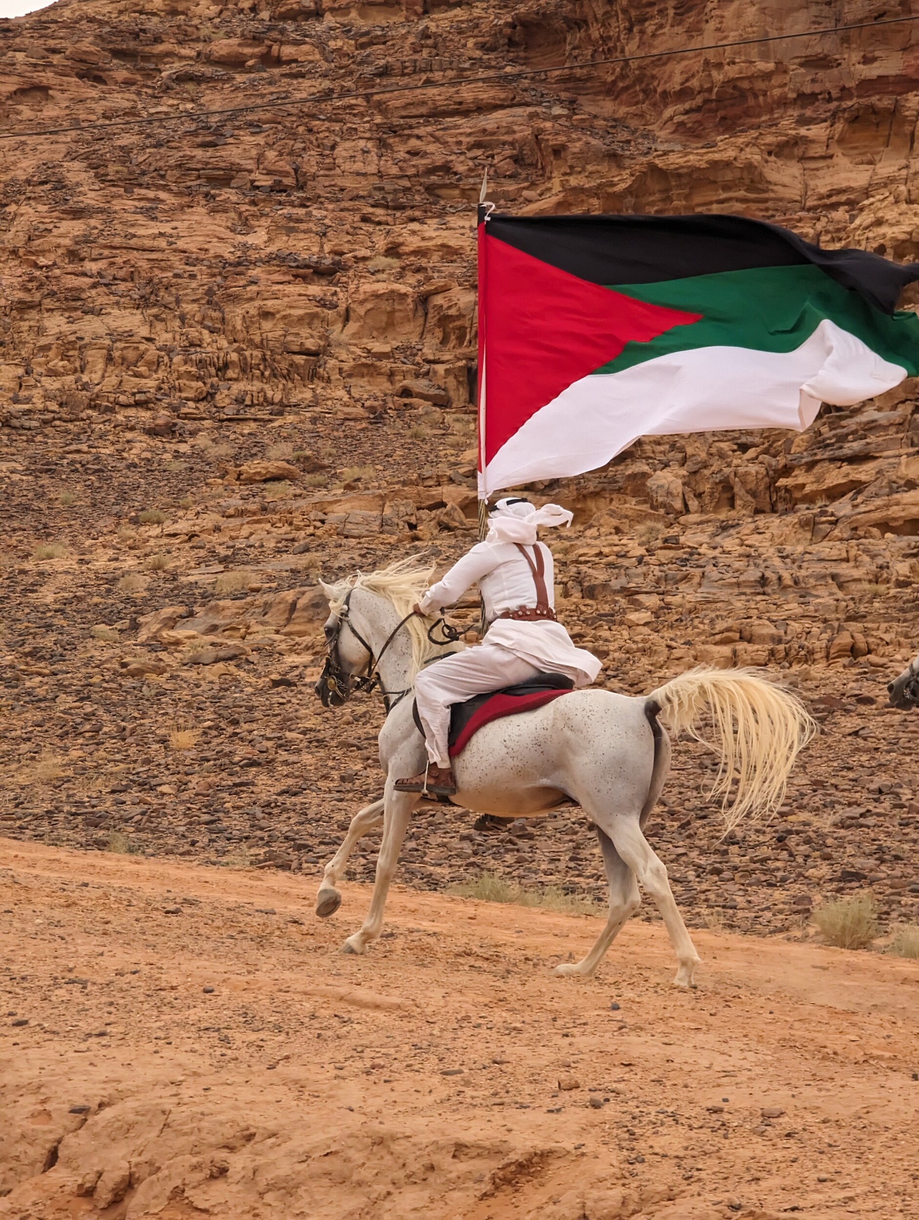 De treinreis van 1916 door de Wadi Rum - Jordanië