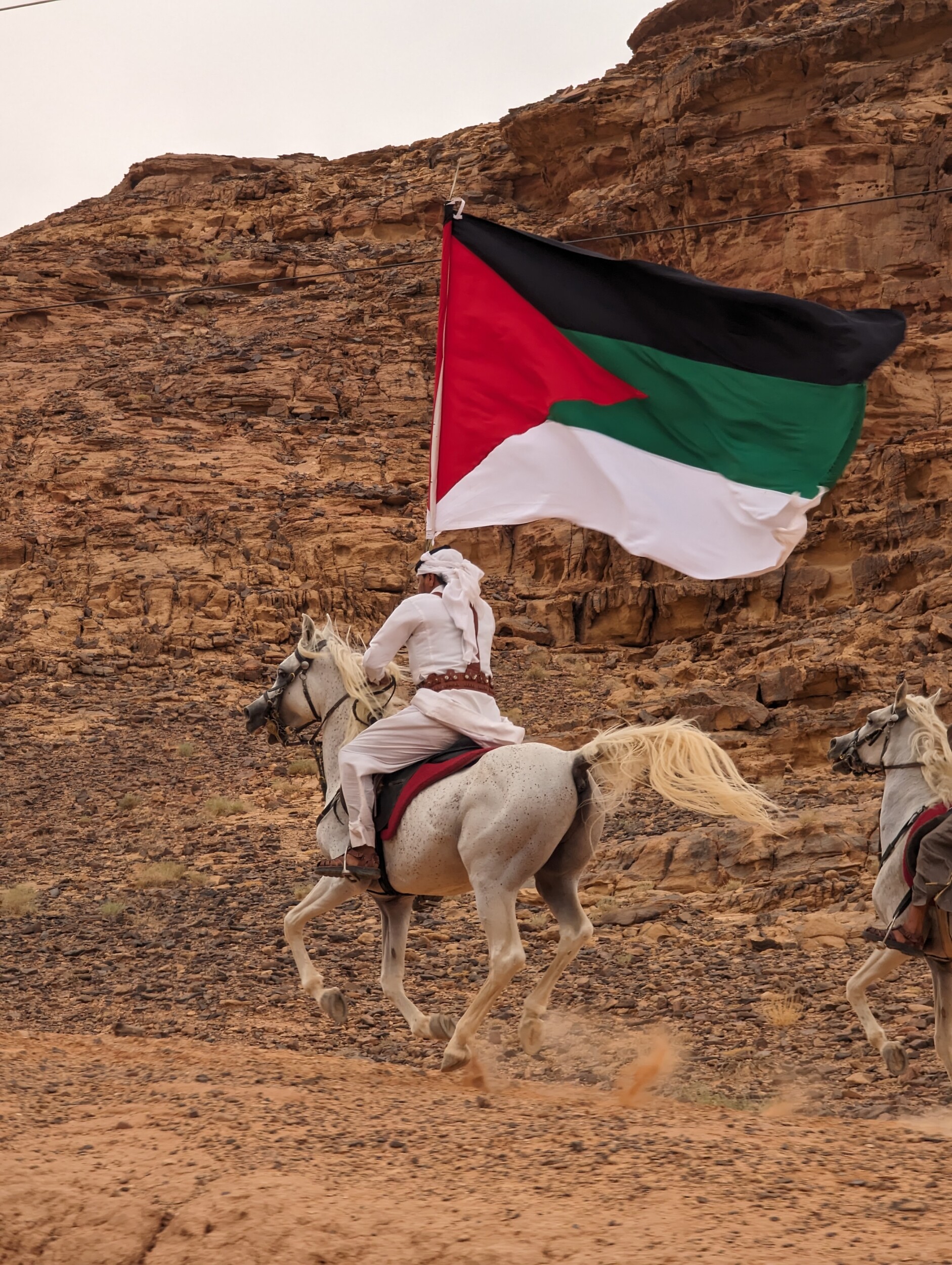 De treinreis van 1916 door de Wadi Rum - Jordanië