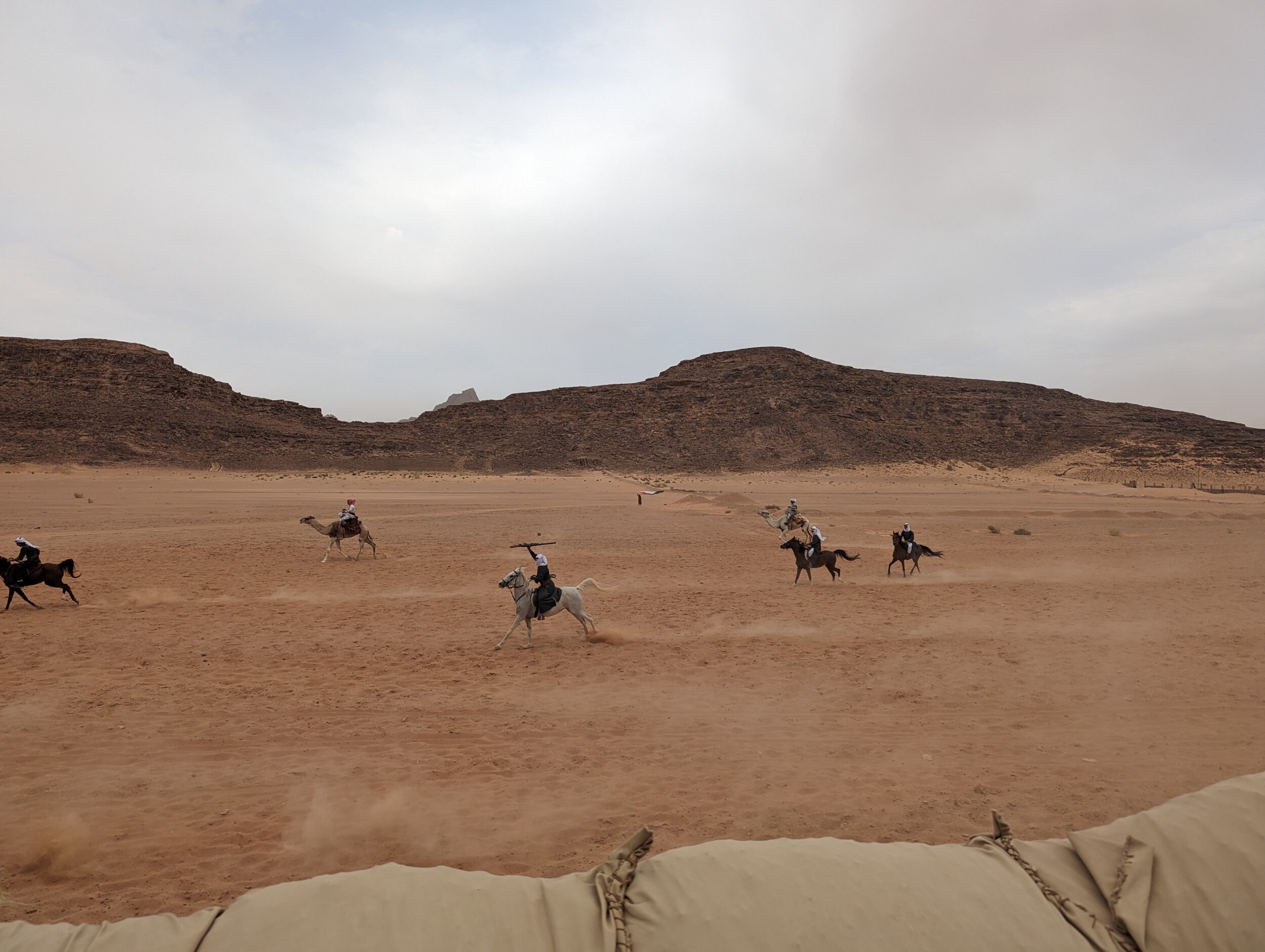 De treinreis van 1916 door de Wadi Rum - Jordanië