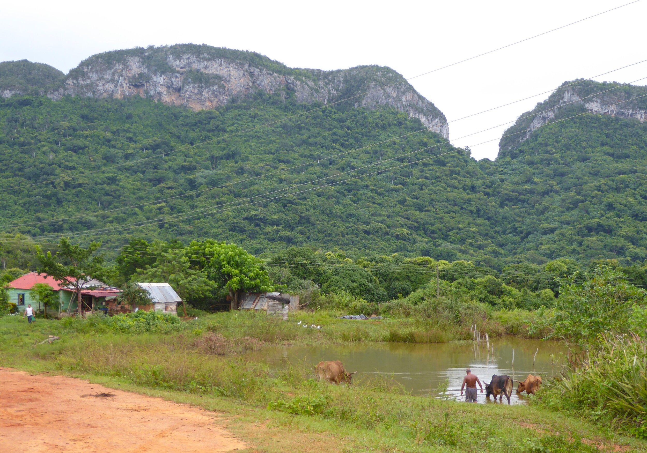 Vinales Vallei Cuba