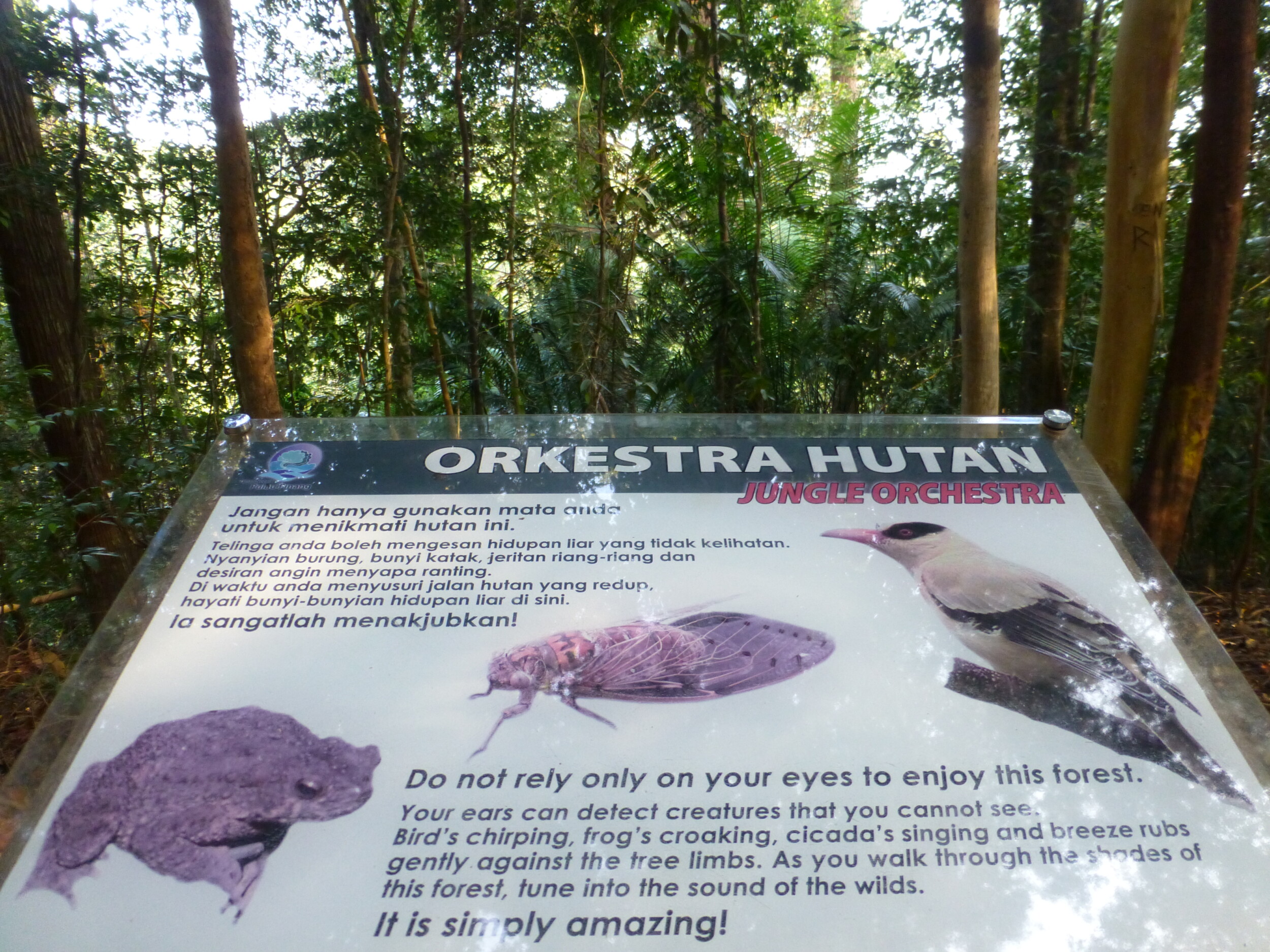 Vakantie Maleisië: Pulau Penang National Park + Complete Reisgids Voor €25 Per Dag