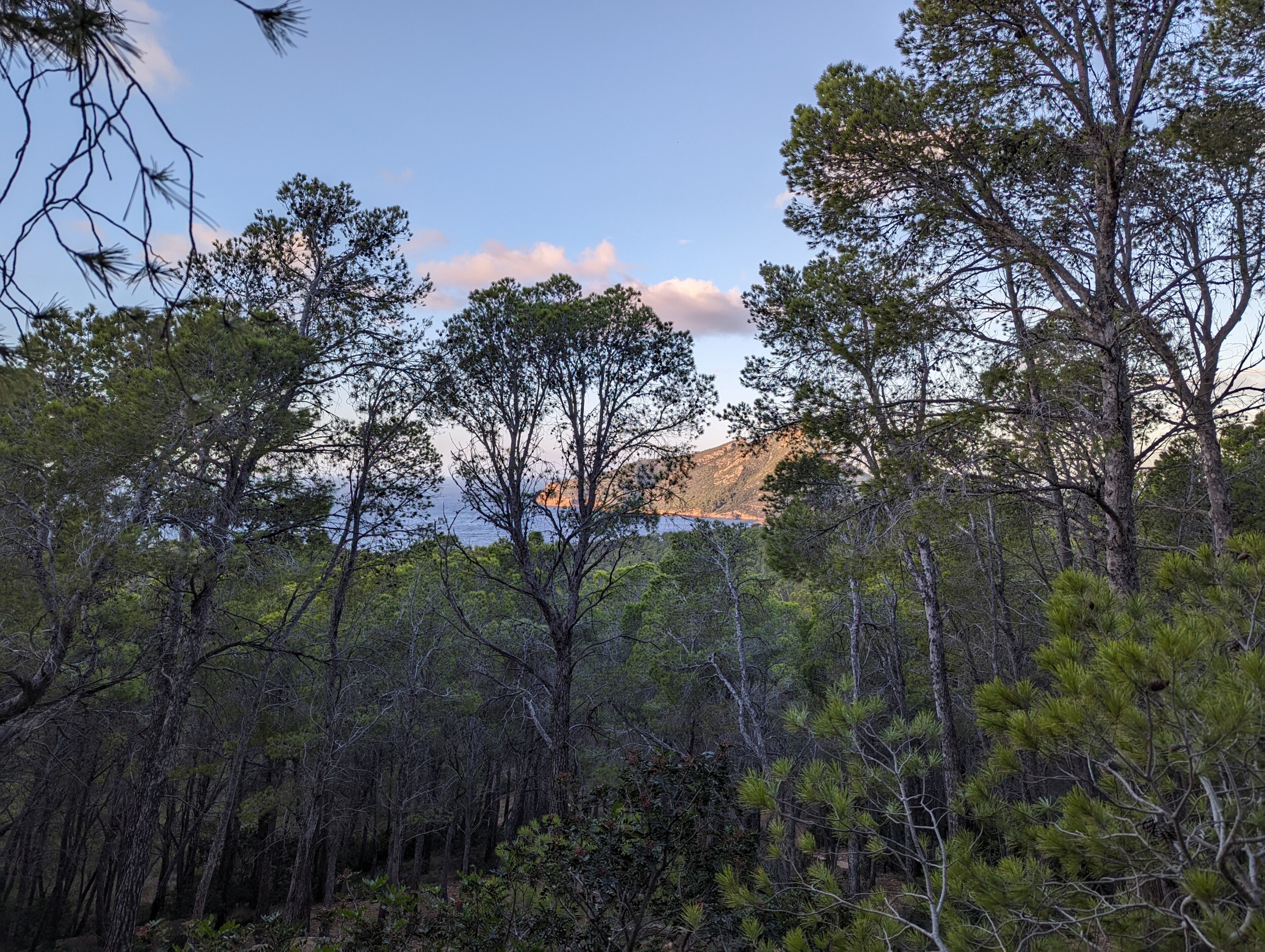 Sant Elm naar Ses Fontanelles, Mallorca - Wandelen op de GR221