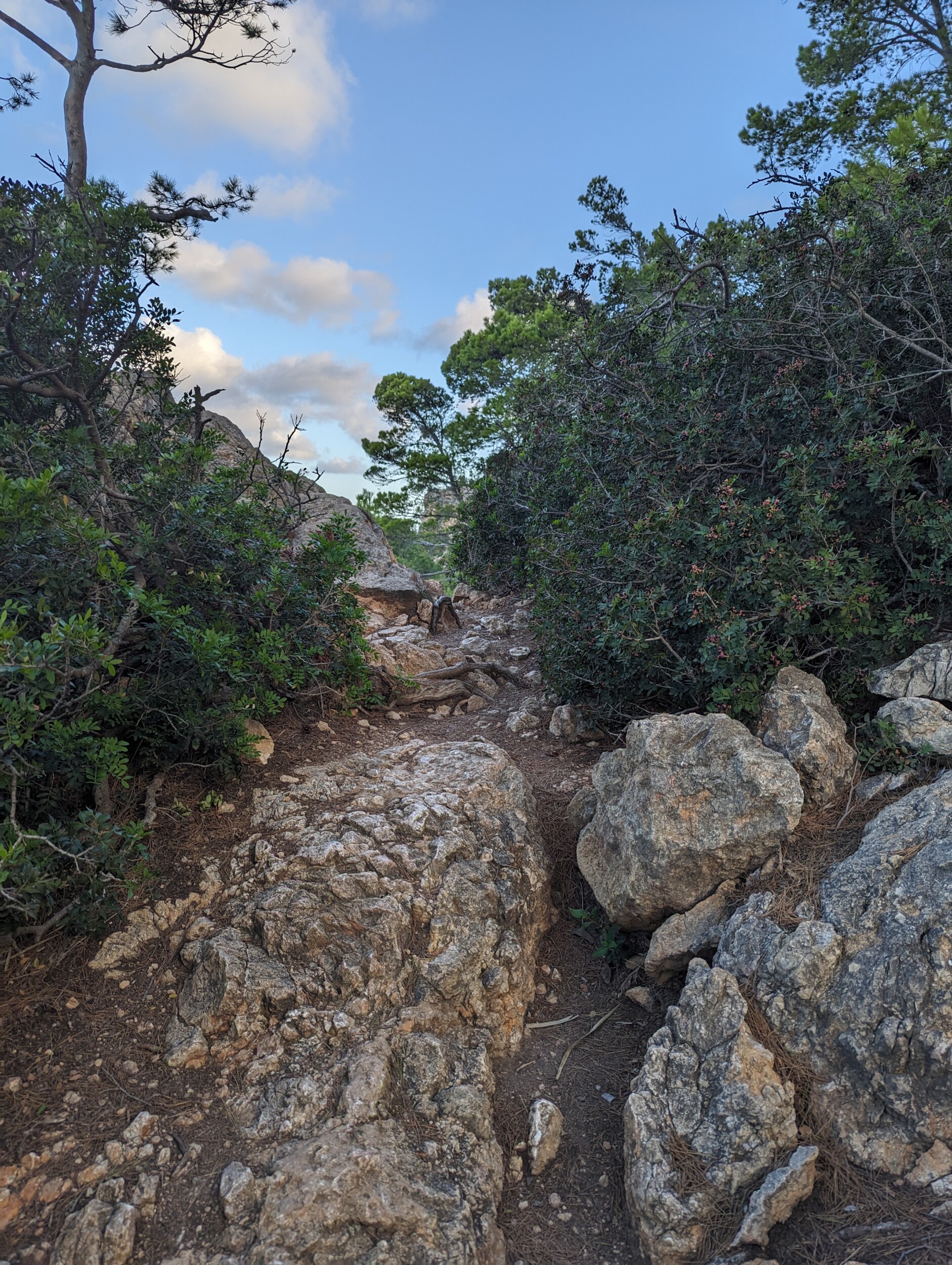 Wandelen op Mallorca - De lange afstand wandeling GR221 - Spanje