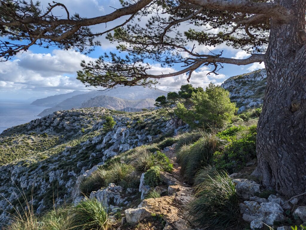 Wandelen op Mallorca - Prachtige uitzichten over de kust