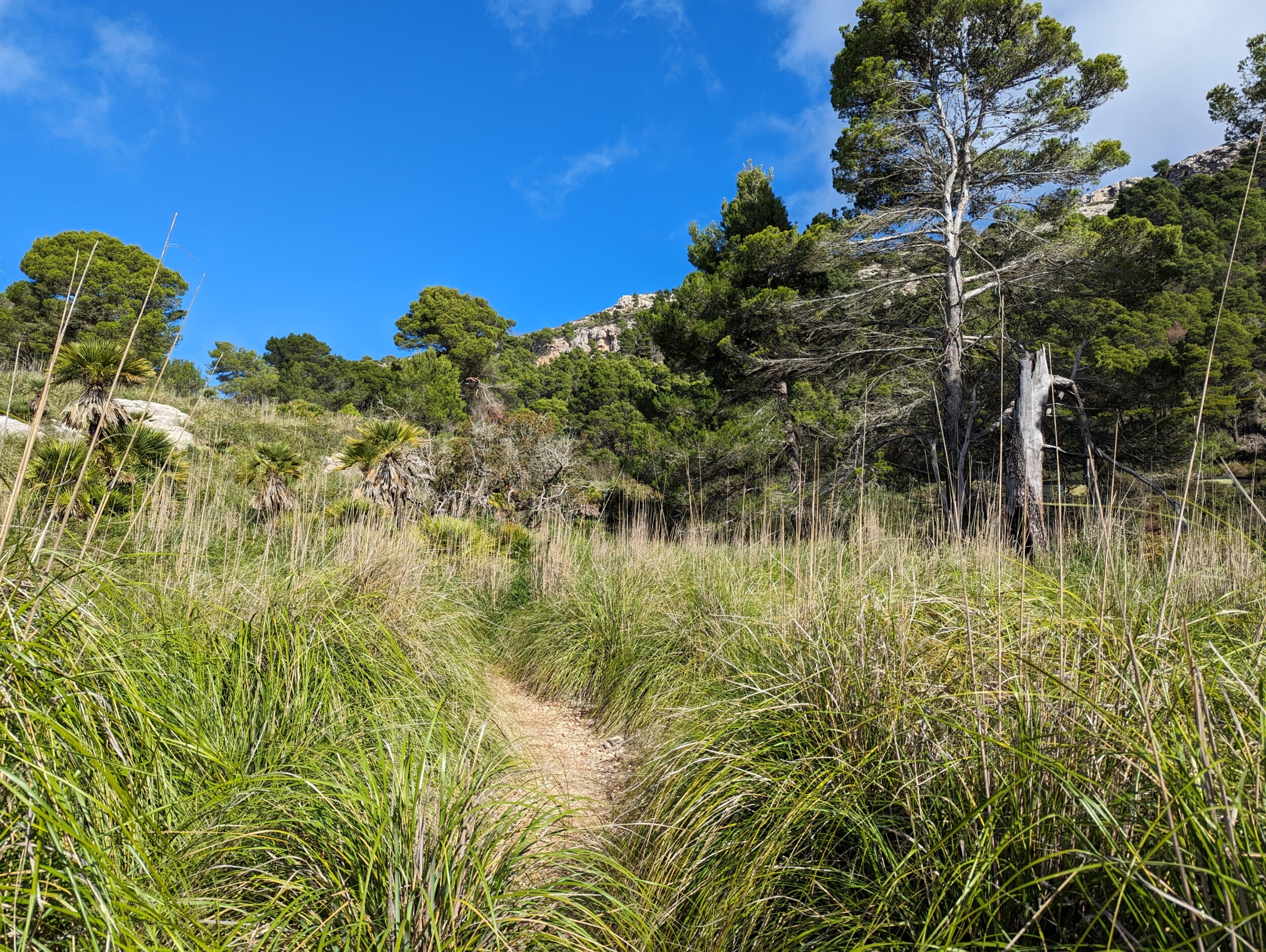 Etappe 3 op de GR221 - Wandelen op Mallorca - Spanje