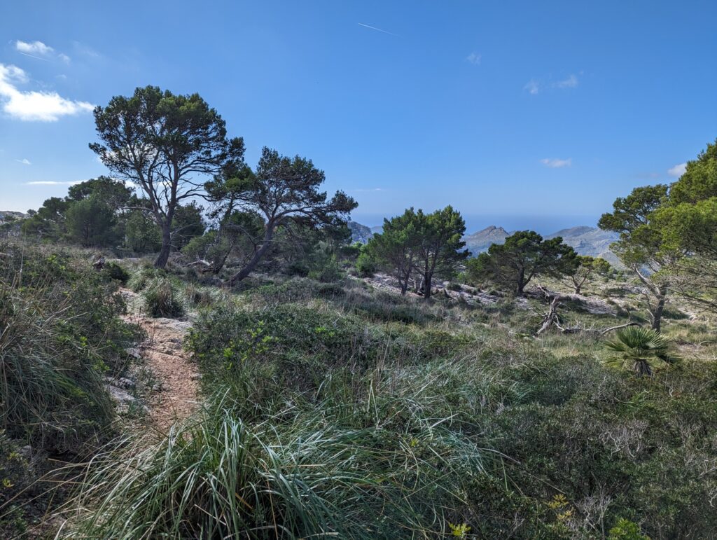Etappe 3 op de GR221 - Wandelen op Mallorca - Spanje