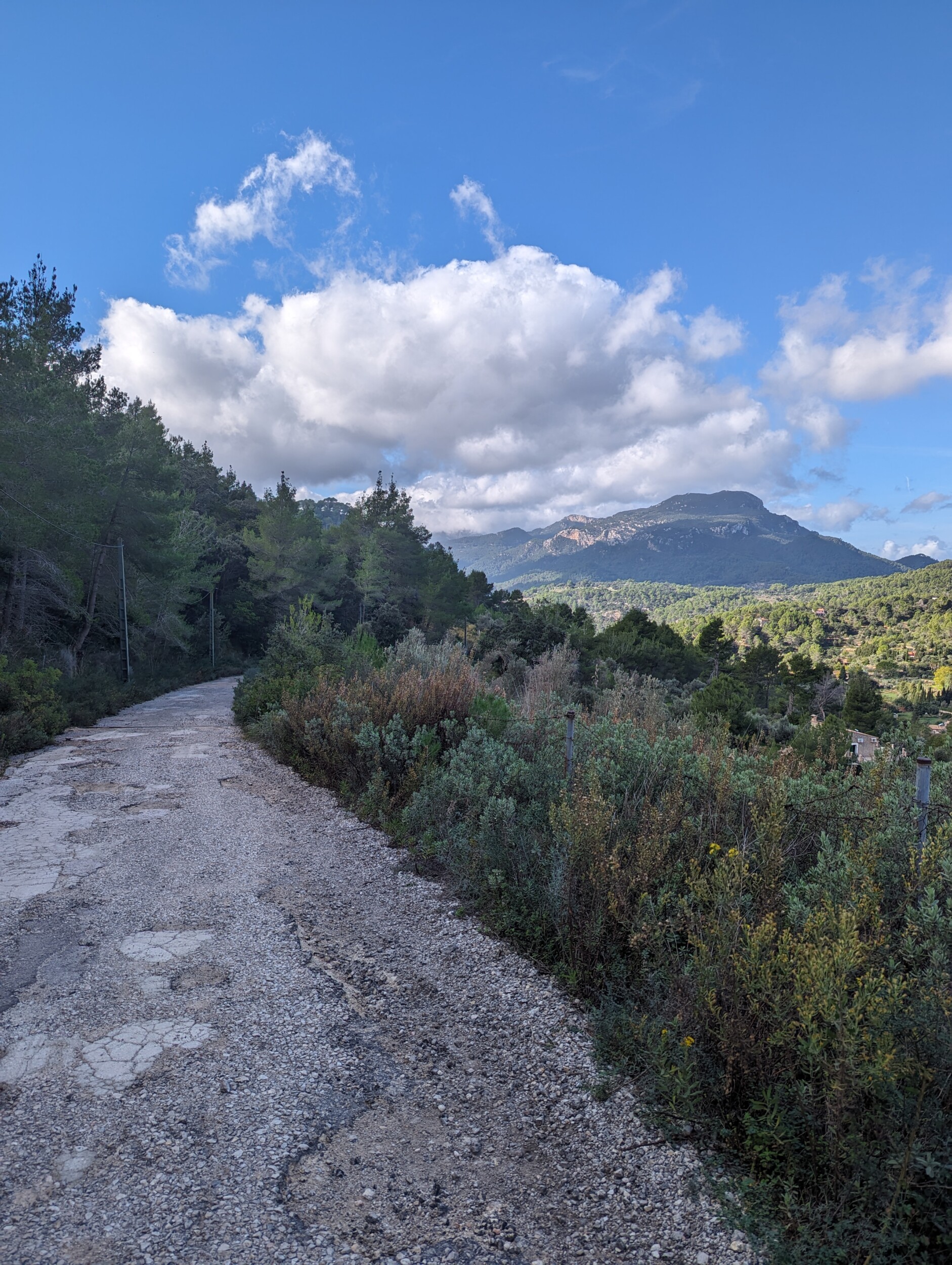 Wandelen op de GR221 - Esporles naar Valdemossa - Mallorca Wandelen op de GR221 - Esporles naar Valdemossa - Mallorca