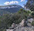 Wandelen op de GR221 - Esporles naar Valdemossa - Mallorca