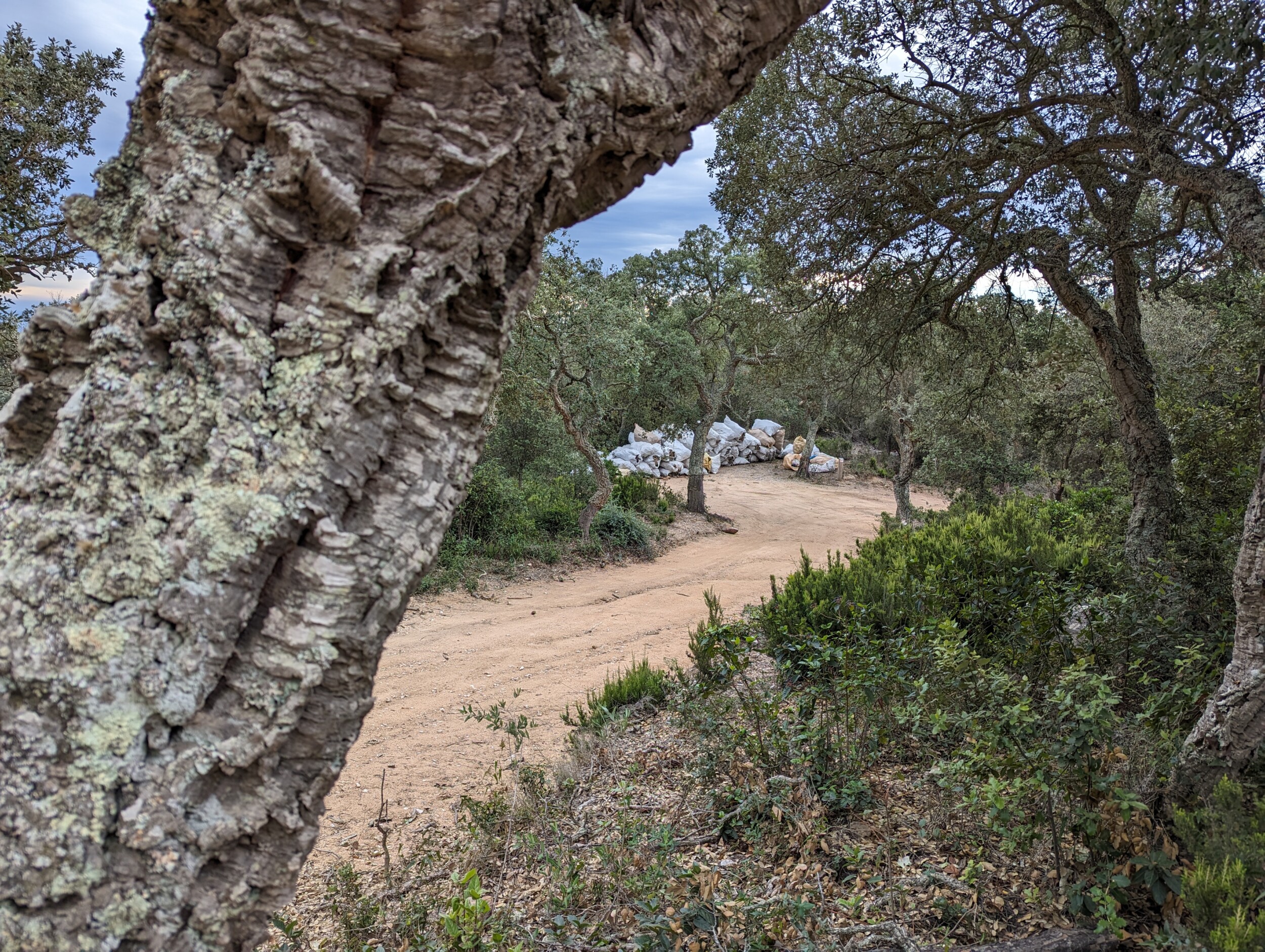 Wandelen langs de Costa Brava - Tossa de Mar naar Sant Feliu de Guixols