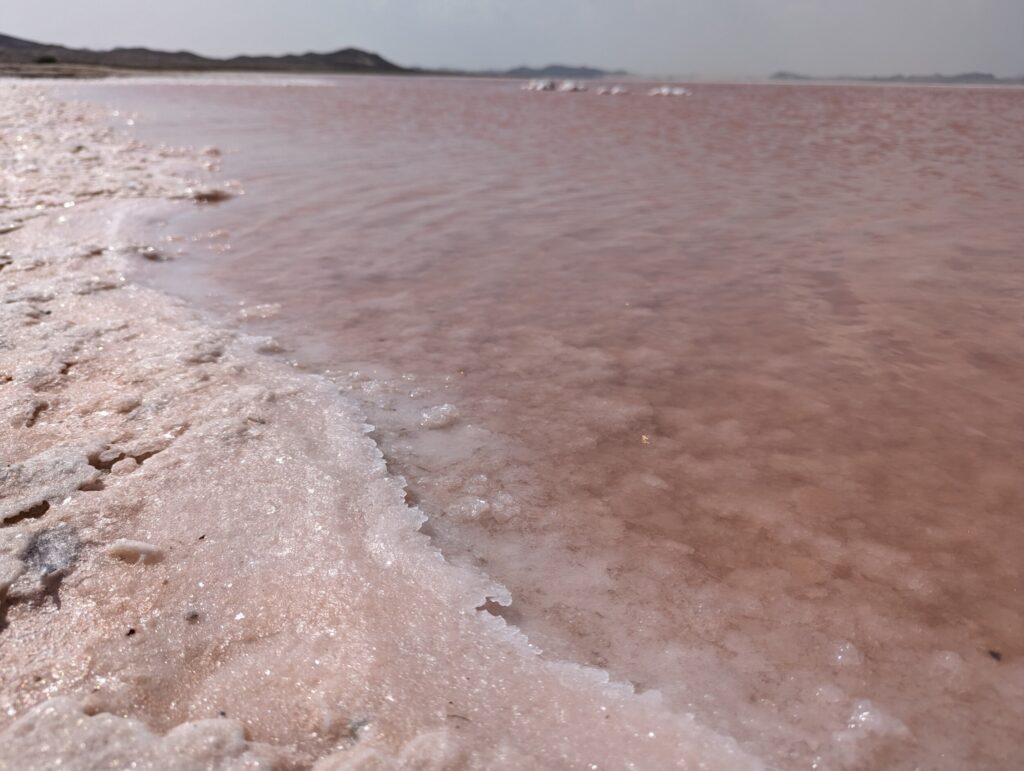 Pink Lagoon, Oman - Rondreis Oman 10 dagen