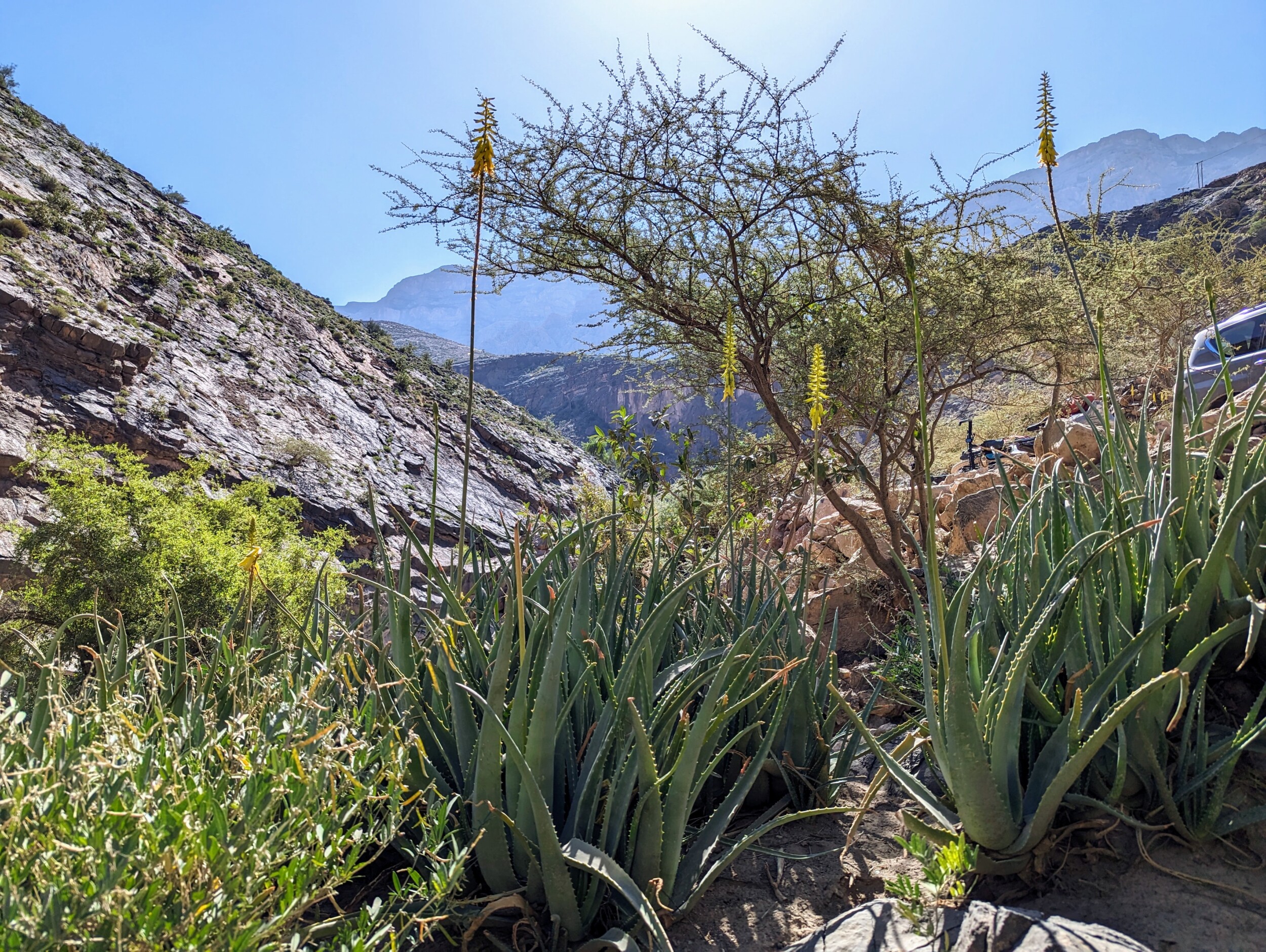 Avontuurlijk reizen - Snake Canyon - Canyoning in Oman