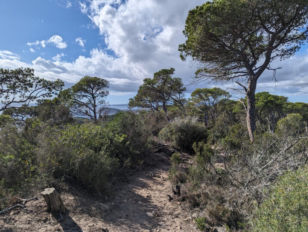 Hiken in Spanje, wandelen langs de Costa Brava kust - Etappe Palamos naar Begur - GR92
