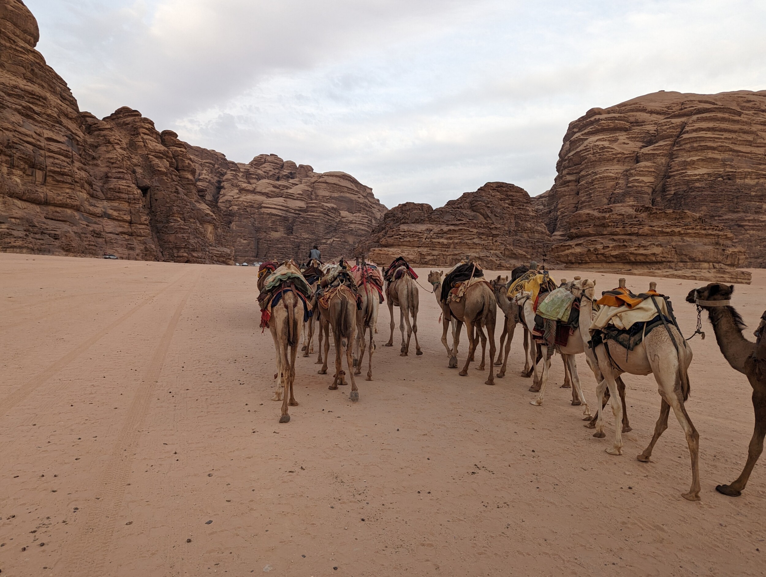 Zinvol Reizen - Zinvolle reis naar Jordanie