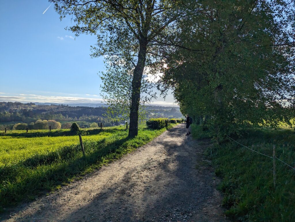 Wandelen op de Camino Frances - Spanje - Een frisse ochtend zon op de achtergrond