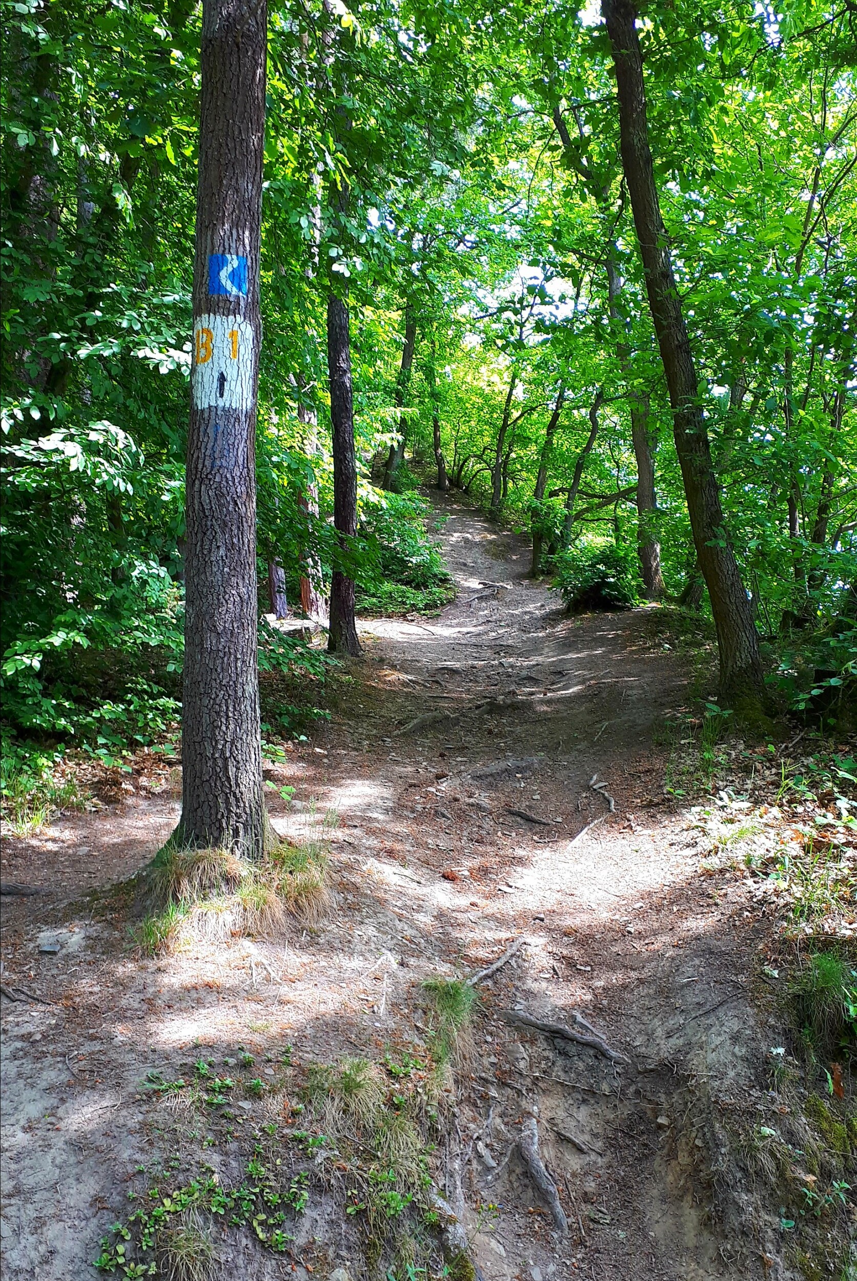 Rheinsteig wandelen in Duitsland