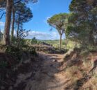GR92 - Costa Brava wandeling - etappe Begur naar Torroela de Montgri