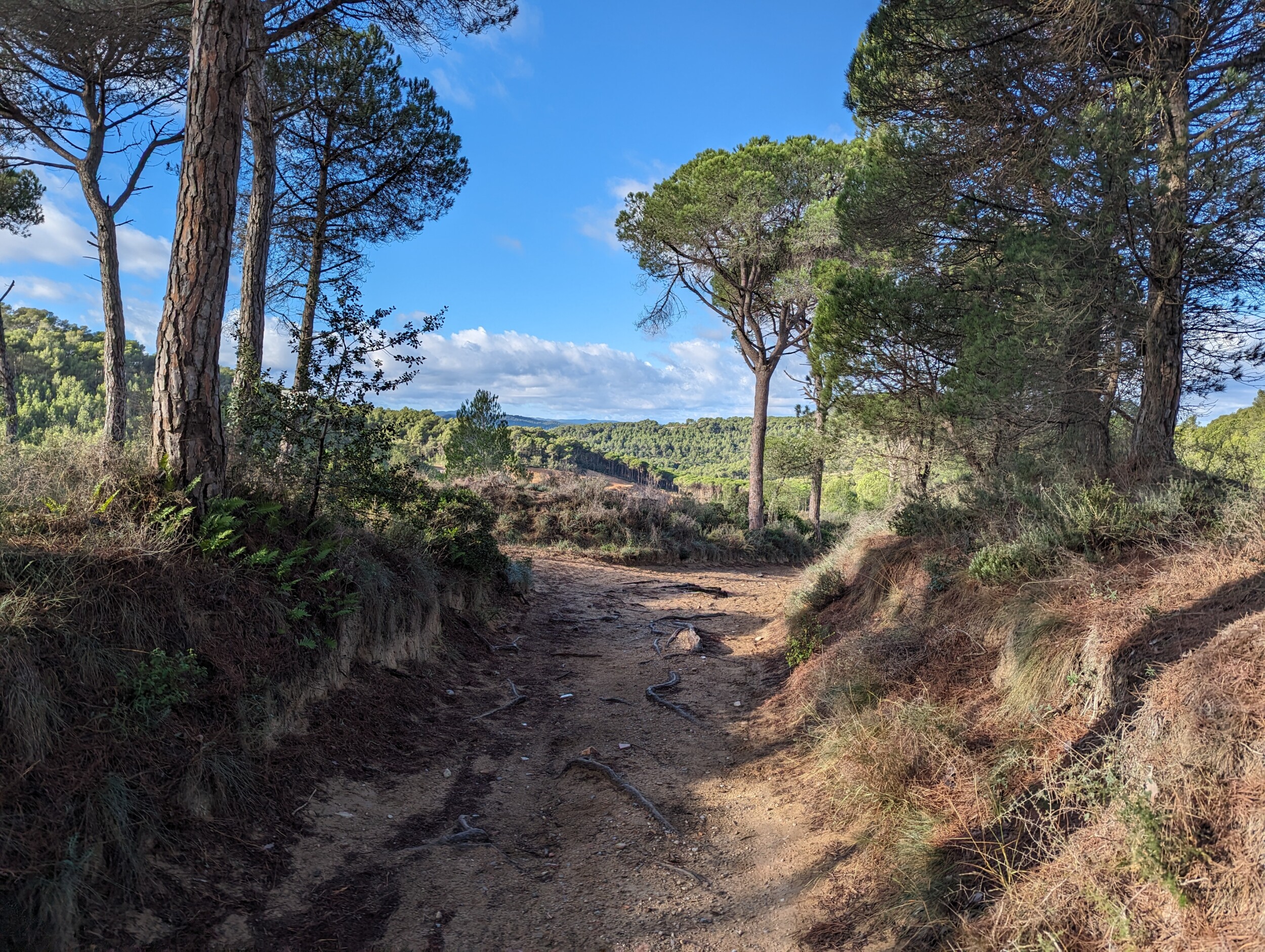 GR92 - Costa Brava wandeling - etappe Begur naar Torroela de Montgri