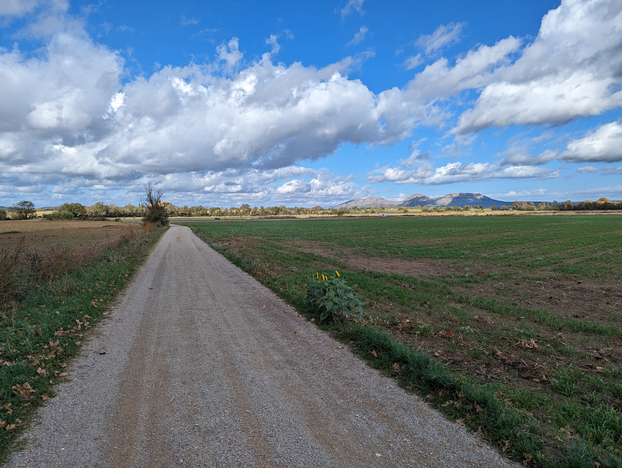 GR92 - Costa Brava wandeling - etappe Begur naar Torroela de Montgri