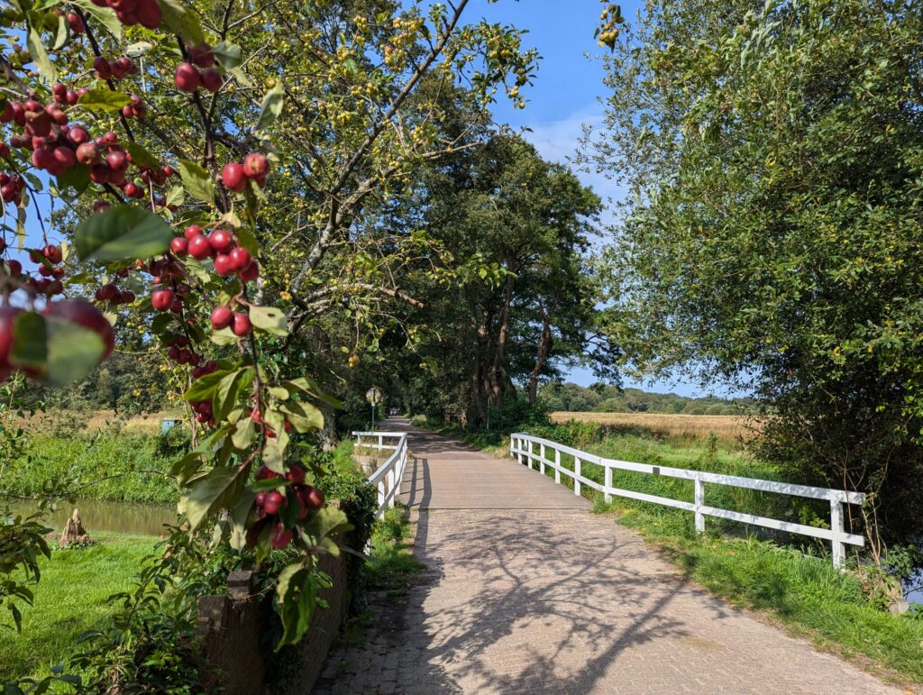 Johannes Hovenkampbrug nabij restaurant De Drentsche Aa - Etappe 4 Pieterpad