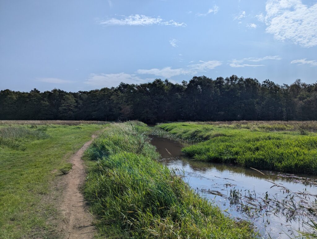 Mooie wandeling in groen gebied - etappe 4 Zuidlaren naar Rolde op het Pieterpad